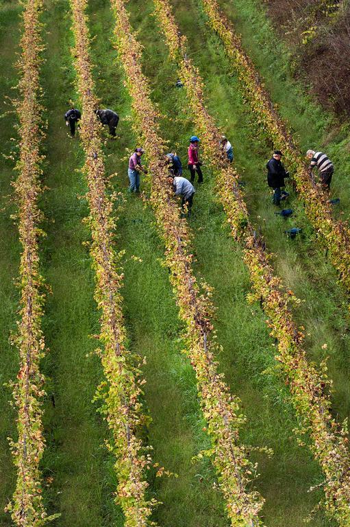 Wine Resort Villagrande Milo Zewnętrze zdjęcie