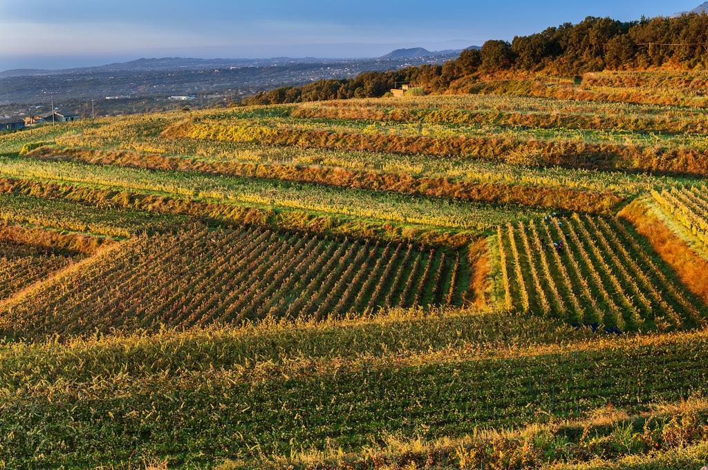 Wine Resort Villagrande Milo Zewnętrze zdjęcie