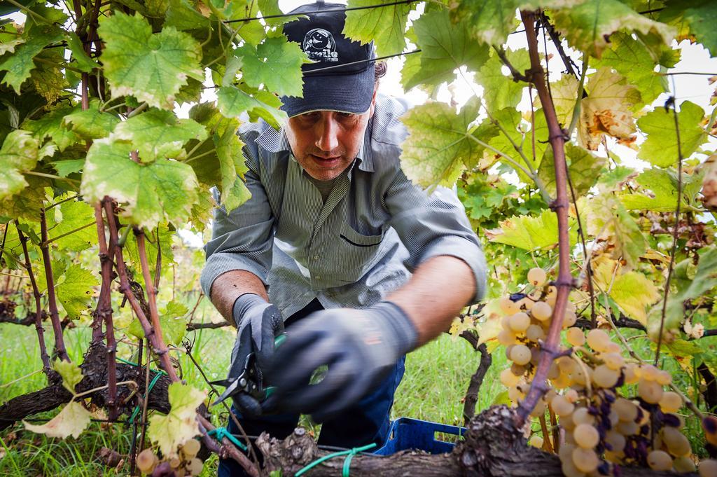 Wine Resort Villagrande Milo Zewnętrze zdjęcie