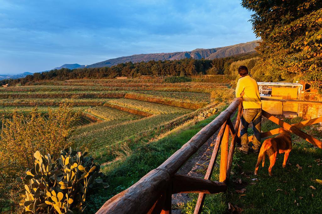 Wine Resort Villagrande Milo Zewnętrze zdjęcie